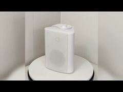 3''/4''/5''/6'' Two Way Wall Mounted Speaker Commercial 70V 100V 8ohm Adjustable