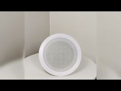 5''/6''/8'' 100V Ceiling Speaker ABS PA Loudspeaker With Spring Clamp