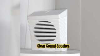 Wall Speaker Cost-effective Cheap Price