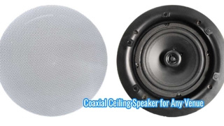  Frameless Ceiling Speaker 8ohm 